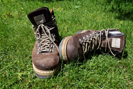 Boot flora foliage
