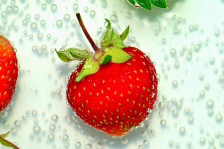Beautiful Image beautiful photo berry