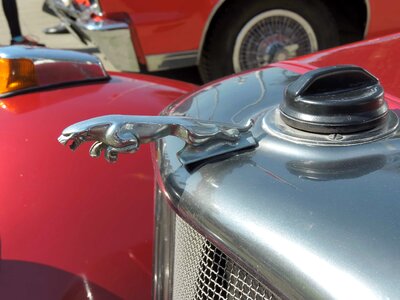 Cars chrome metallic