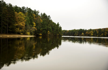 Autumn Trees on the shoreline of the Wisconsin River