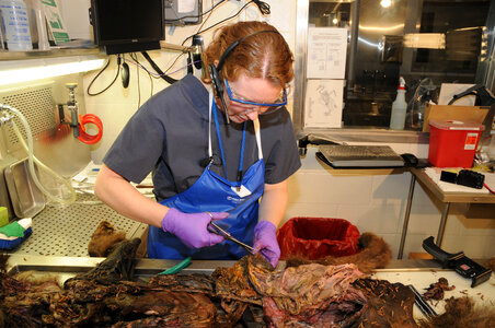 Ashland Forensics Lab-4