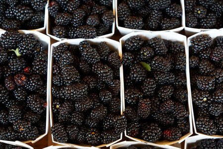 Berries vitamins food