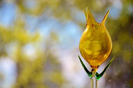 Transparent decoration shiny photo