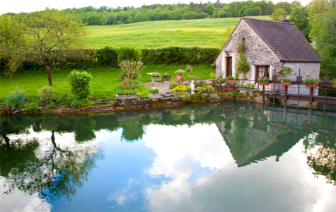 Pond cottage reflections photo