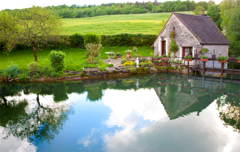 Pond cottage reflections