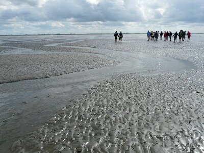 Wadden sea ford personal