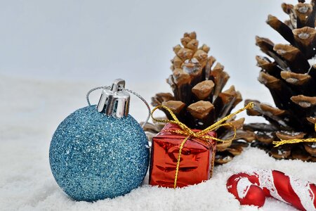 Conifers decoration gifts photo