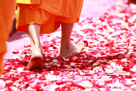 Buddhism thailand tradition photo