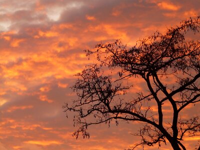 Abendstimmung sun romance photo