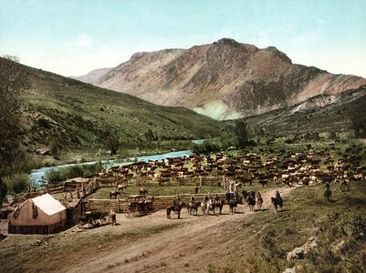 Vintage colorado ranch