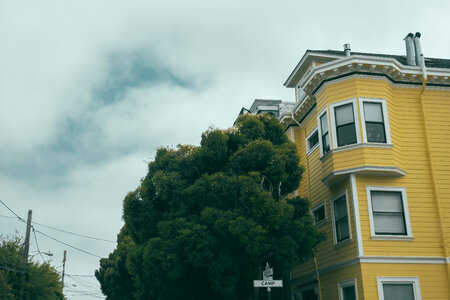 41 San Francisco