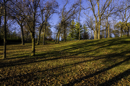 Trees and landscape at Le Aqua Na State Park, Illinois photo