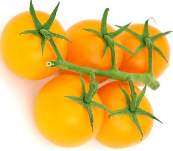 Beautiful Photo diet dietary