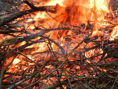Fire stubble Free photos