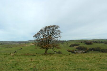 Countryside farm field photo