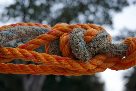 Orange and Brown Rope Knot photo
