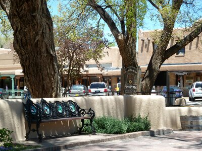 Bench trees building photo