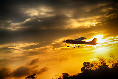 Sunset Flight photo