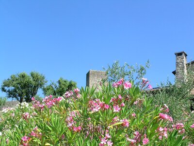 Tuscany monteriggioni italy