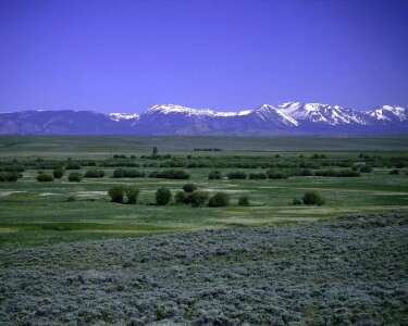 Domestic nature refuge photo