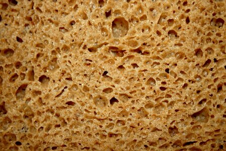 Bread carbohydrate details