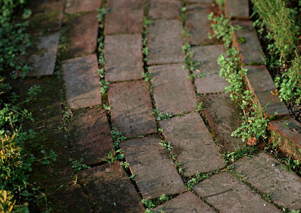 Patterned brick walkway photo