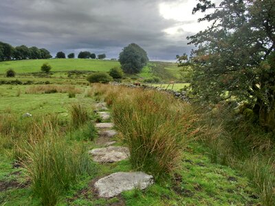 Devon landscape moor