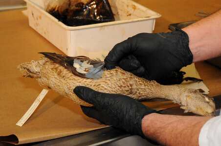 Ashland Forensics Lab-1