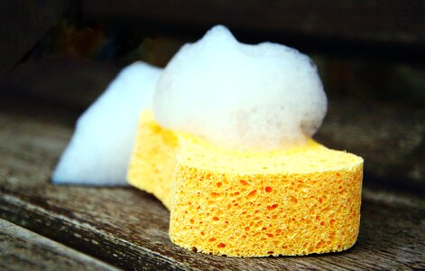 Beautiful Photo object sponge