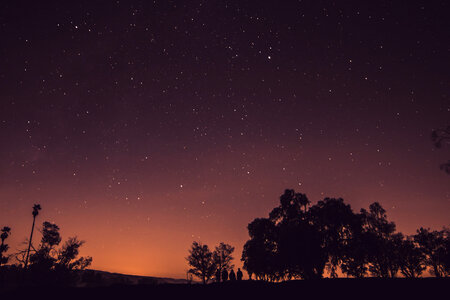 Trees and People Silhouettes Against a Starry Sky photo