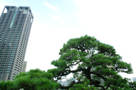 4 Nakanoshima city photo