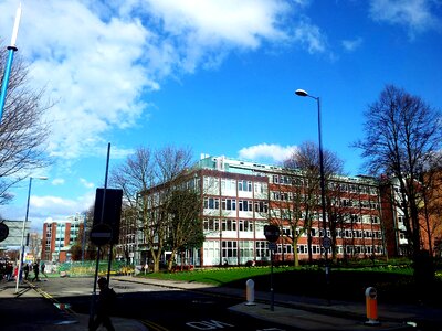 School street university