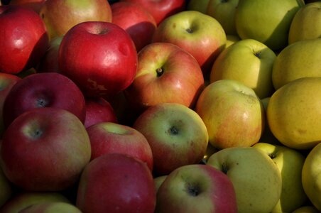 Apple fruit food