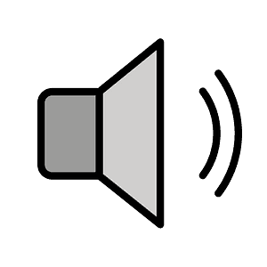 Speaker medium volume