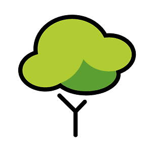 Deciduous tree