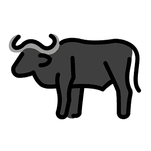 Water buffalo