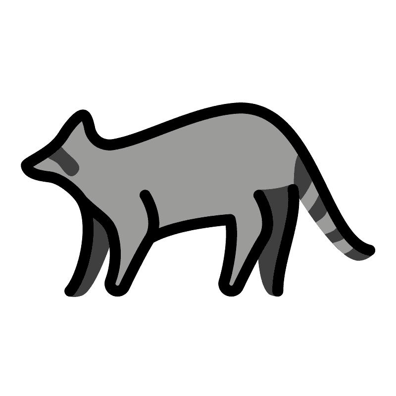 Raccoon