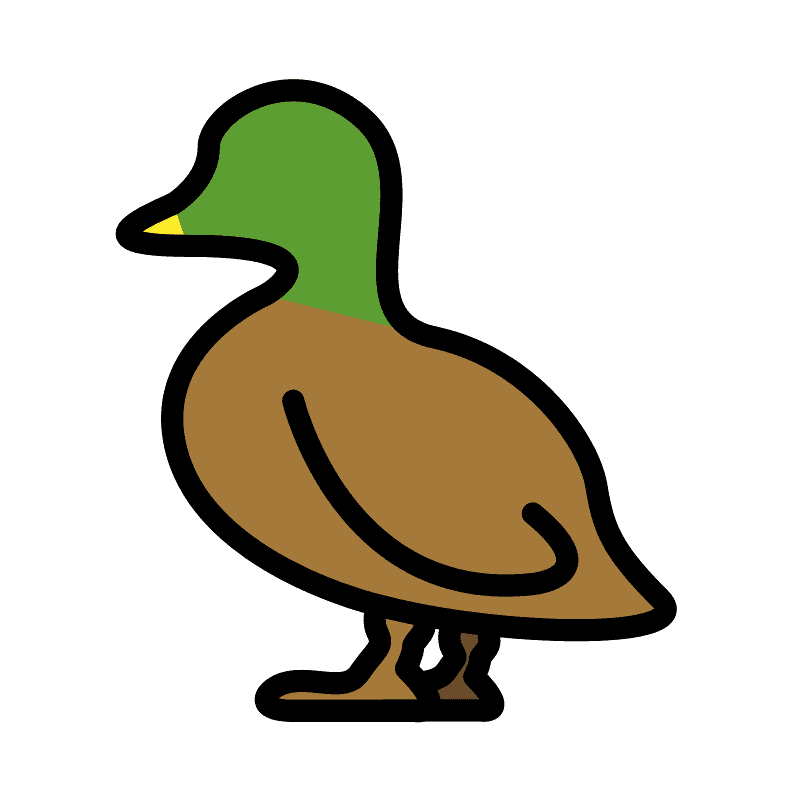 Duck