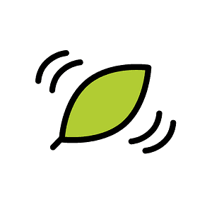 Leaf fluttering in wind