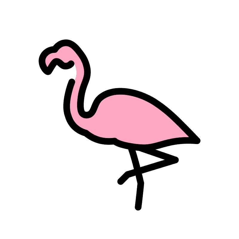Flamingo