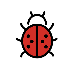 Coccinelle