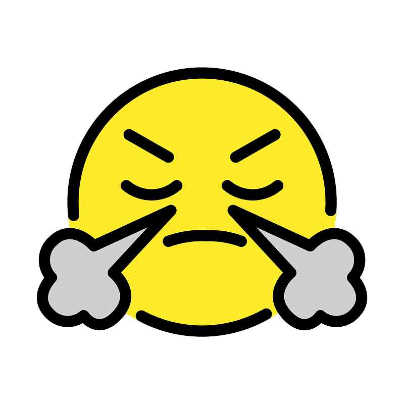 Face with steam from nose