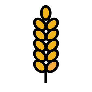 Sheaf of rice