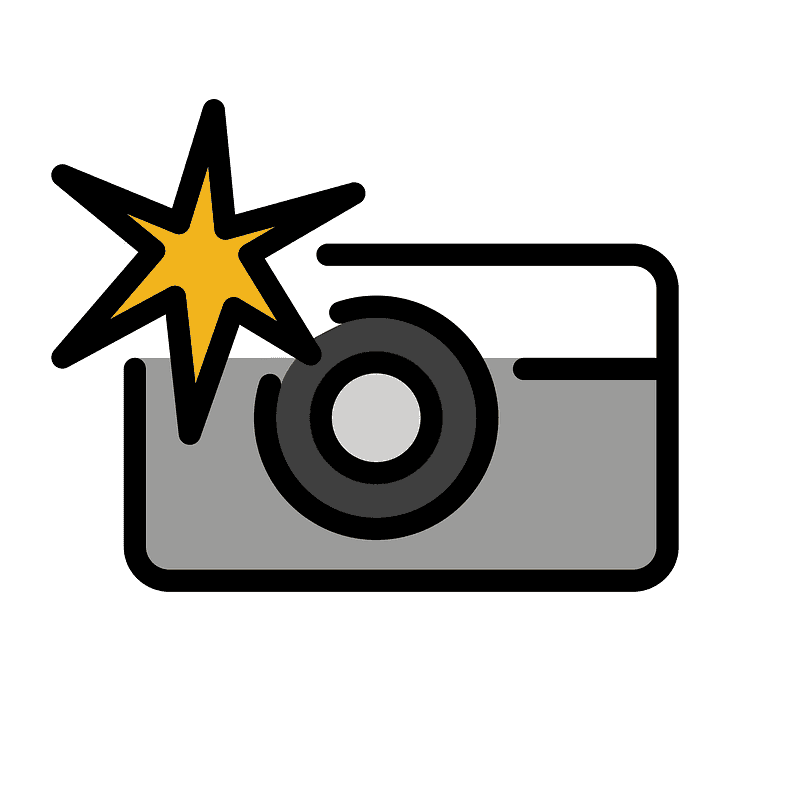 Camera with flash