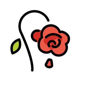 Wilted flower