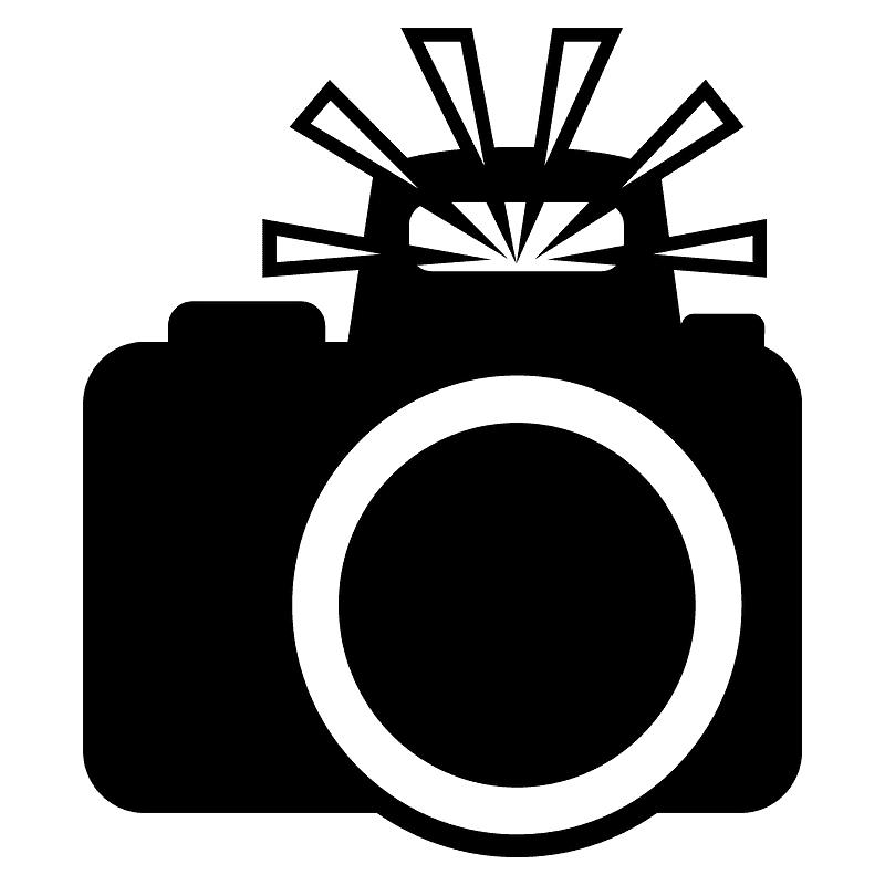Camera with flash