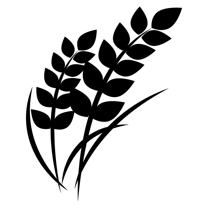 稻子