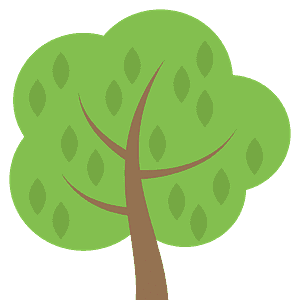 Deciduous tree