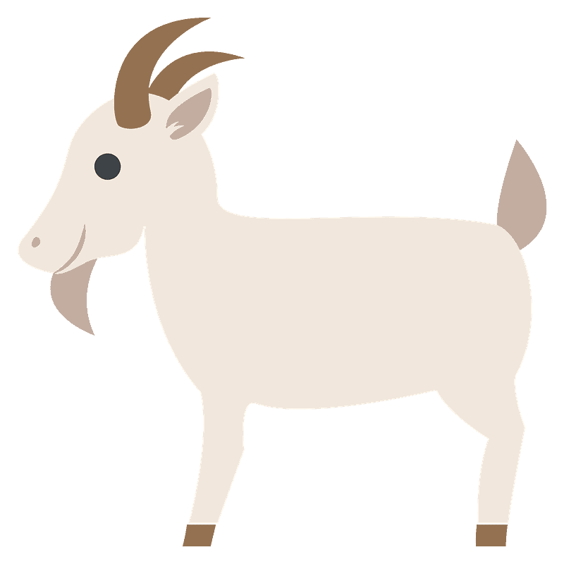 山羊