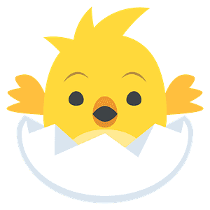 Hatching chick